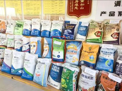 融合煥新促發(fā)展 文化賦能樹品牌——銷售分公司在糧食市場管理服務(wù)中的實踐與探索